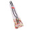Chicken & Duck Pannolini Generici Colore Crema M 3