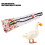 Chicken & Duck Pannolini Generici Colore Crema M 7