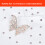 3PCS Combed Cotton White Adults Children Horse 9