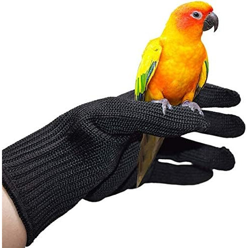 Bird Bite Protection Gloves For Training 1