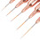 5-teiliges Nagelkunst-Pinsel-Set - Multifunktionsgriff 8