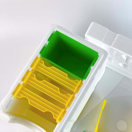Queen Bee Breeding Box Mini Pairing NUC Box Apidea 2