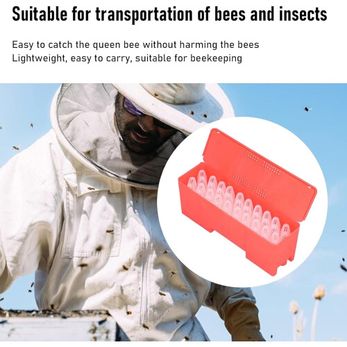 Essential Set Transport Box Breeding Cage Cage Cage Box Queen Bee Breeding System Suitable for Beekeepers 2