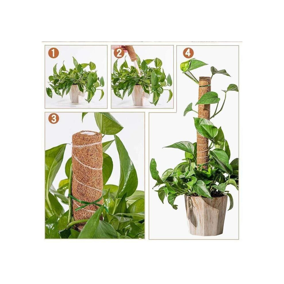 CH06120 - Tutori In Palma Da Cocco Per Piante Rampicanti. Totem Da Giardino. Tutore In Muschio. Tutore Per Piante Rampicanti.