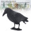 Plastic Crow Decoy Black Raven for Hunt with Foot 15