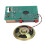 DIY-Radio-Kit 4,5 V AM/FM PCB-Modul 3xAAA 9