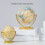 Mini Desktop Earth Globe Rotating World Map Teaching Tool for Students 4