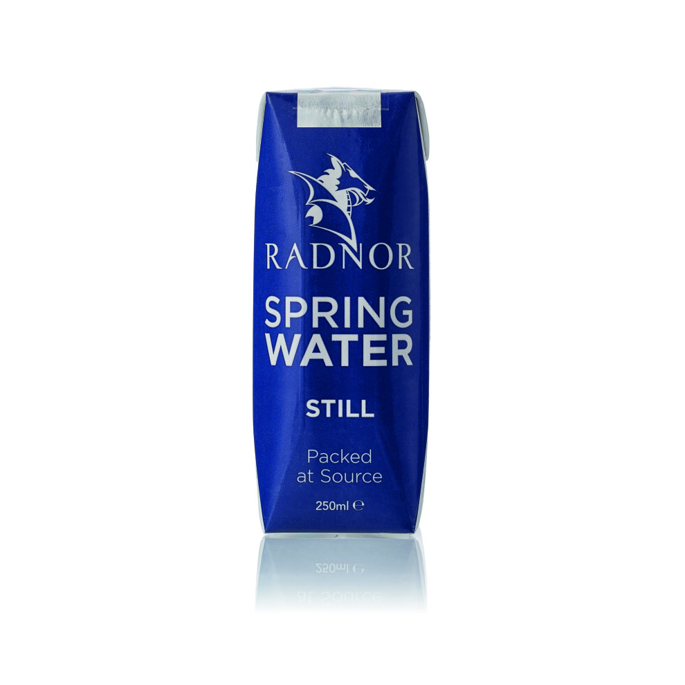 Radnor Hills Radnor Still Spring Water 250Ml Tetra Pak (Pack Of 24) 0201025