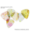 Transparent Picks, Guitar Folk Guitar, , Personalized Color Picks C 3