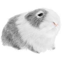 Guinea Pig Plush Toy Animal Doll Realistic Hamster Model for Education Small Gift