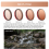 Lens Filter for Action 5 Pro/4/3 - ND Kit Adjustable Filters Camera Accessories 8