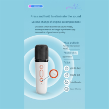 Mini Karaoke Machine Bluetooth 5.3 Portable Speaker with Led Music Rhythm Light for Family and Outdoor B