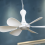 Camping Fan, Portable Mini Ceiling USB Tent Fan for Outdoor 3