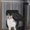Pet Door Lockable Inside Flap Cat Window Screens Barrier Sliding Doggy Insert A 9