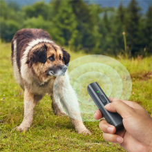 Pet Dog Ultrasonic Repeller Anti Barking USB Rechargeable Equipment UV Detect Light Training Accessories(A)
