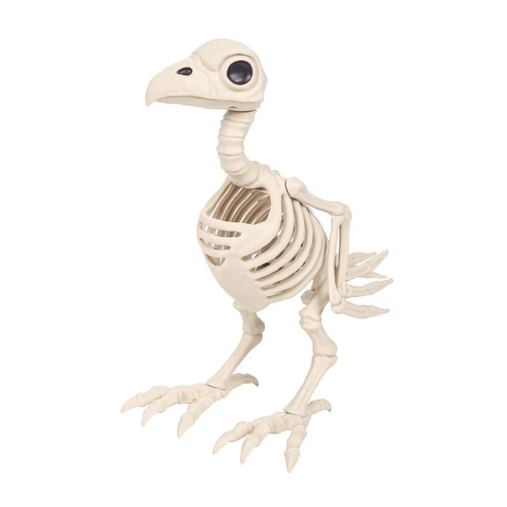 Skeleton Bird Halloween Decorations - Posable Animals Skeletons with Joints Decor