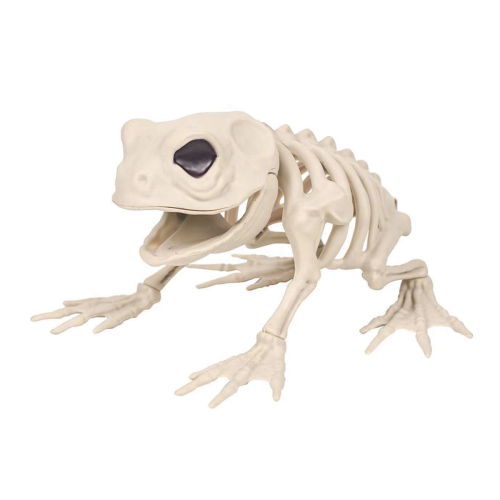 Skeleton Frog Halloween Decorations - Posable Animals Skeletons with Joints Decor