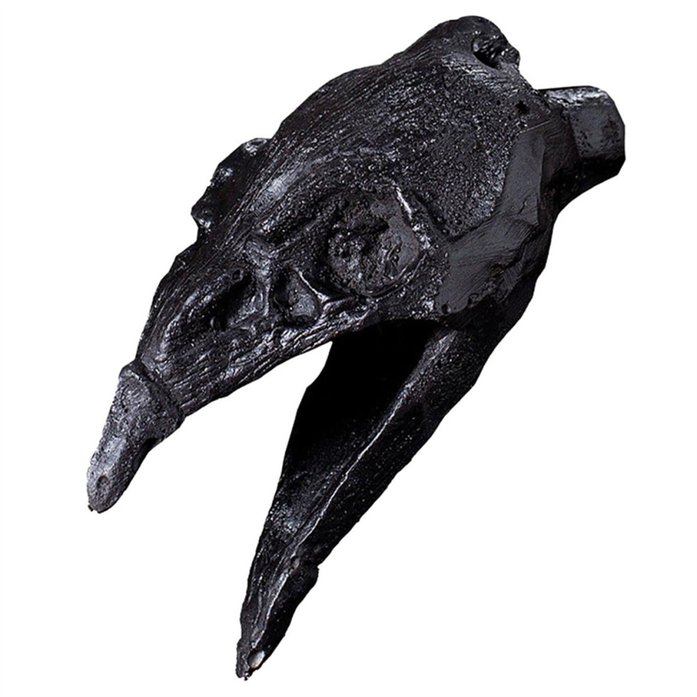 Saudism Death Whistle With Screeching Sound Crow Beak Loud Ornament For Halloween Prank Props