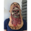 Halloween Mask Props Grudge Ghost Hedging Realistic Masquerade Long Hair Scary 8