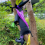 53Inch Crashing Witch Halloween Decorations, Into Tree, Crashed Props for Porch 5