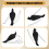Realistic Hanging Dead Crow Decoy Lifesize Extra Large Black Feathered 11
