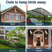 Acrylic Bird Repeller Simulation Owl Reflective Orchard Balcony Garden Decoration
