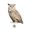 Acrylic Bird Repeller Simulation Owl Reflective Orchard Balcony Garden Decoration 3