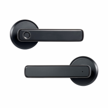 Smart Fingerprint Door Lock Password Electronic Unlock Entry Knobs for Bedroom Home Hotel Apartment