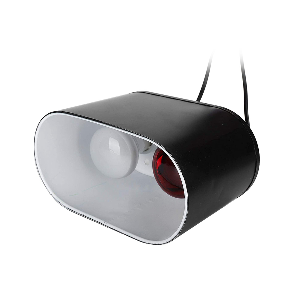 Dual Reptile Light Fixture Heating Lamp UVB for Dome Heat Lighting Combo Kit US Plug
