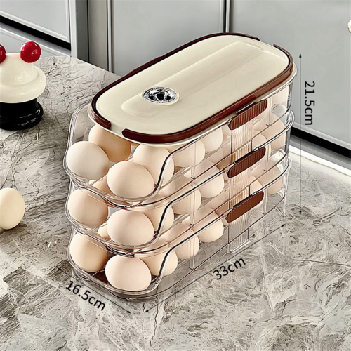 Double-Row Egg Storage Box Kitchen Refrigerator Side Door Transparent Rolling Rack,B 2