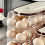 Double-Row Egg Storage Box Kitchen Refrigerator Side Door Transparent Rolling Rack,B 9