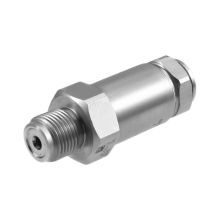 NEW Common Rail Pressure Relief Limiter Valve 1110010035 for