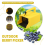 Outdoor Berry Picker with Collecting Comb, Ergonomic Handle, Efficient for Various Berries 6