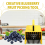 Outdoor Berry Picker with Collecting Comb, Ergonomic Handle, Efficient for Various Berries 10