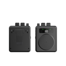 Mini Wireless Speaker with Lavalier Microphone Portable Voice Amplifier for Teachers Tour Guides Coaches Black