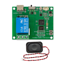 ESP32-AI 1 Way Voice Control Relay Module Recognition Onboard Microphone Amplifier Speaker TYPE-C Interface