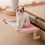 Cat Hammock Universal for All Seasons Hanging Bed Convenient Fixing Bracket Gray Blue 6
