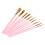 101R Rose mat ensemble de 10 pinceaux taille 16,4 cm 1