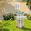 2Pcs PVC Mini Greenhouse, 23.6 X 11.8inch Transpar 7
