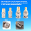 SMA to BNC Kits 2 Set RF Adapter Connector for SDR 8