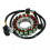 370101-102-0000 Generator Stator Coil for ATV 650/ 3