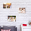 4 X 6 Inch Acrylic Sign Holder Wall Mount,Clear Fr 9