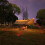 Outdoor Luminous Wind Rope LED Camping with Light 4
