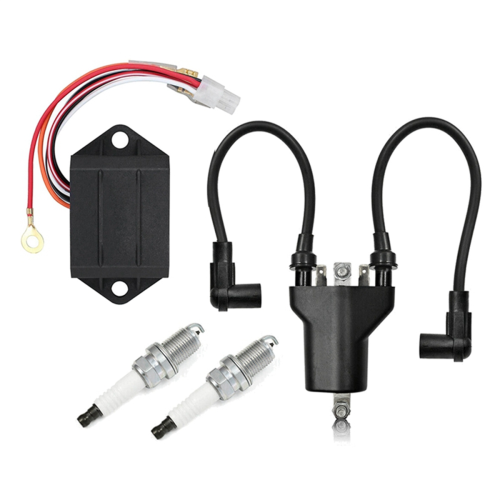 Ignition Coil & AC CDI Ignitor Spark Plug for Gas