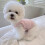 Gilet pour chien rose XS été - Polyester, confortable 7