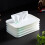 Cache-mouchoirs pliable en silicone blanc 20,5x14cm 5