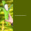 Gravity Espada de plátano retráctil verde 14.5x64cm 6