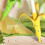 Gravity Espada de plátano retráctil verde 14.5x64cm 5