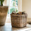 Wicker Log Basket Square (Set of 2) - Brown 4