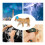 Dog Ear Muffs Hearing Protectors Blue, Adjustable, 8.59cm 4